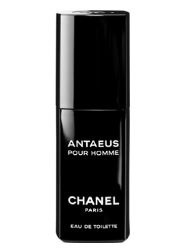 Antaeus Eau de Toilette 