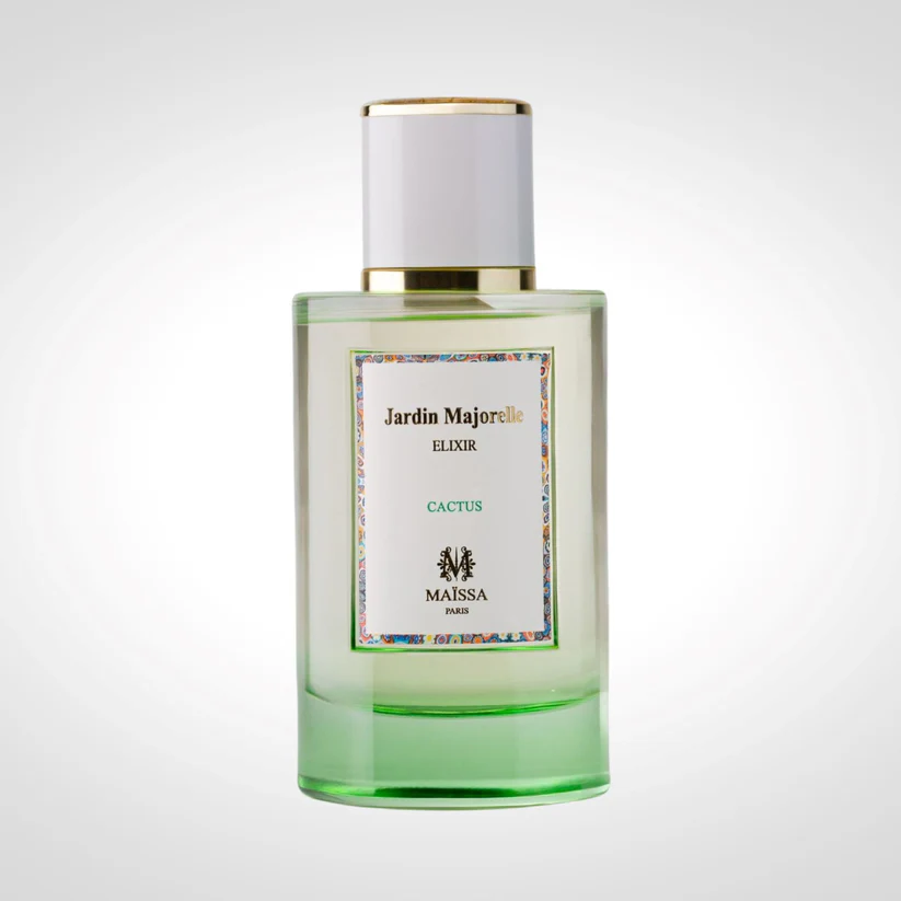 Jardin Majorelle - Cactus